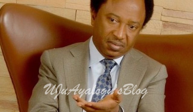 Northern politicians bent on causing crisis between Osinbajo and Buhari – Shehu Sani