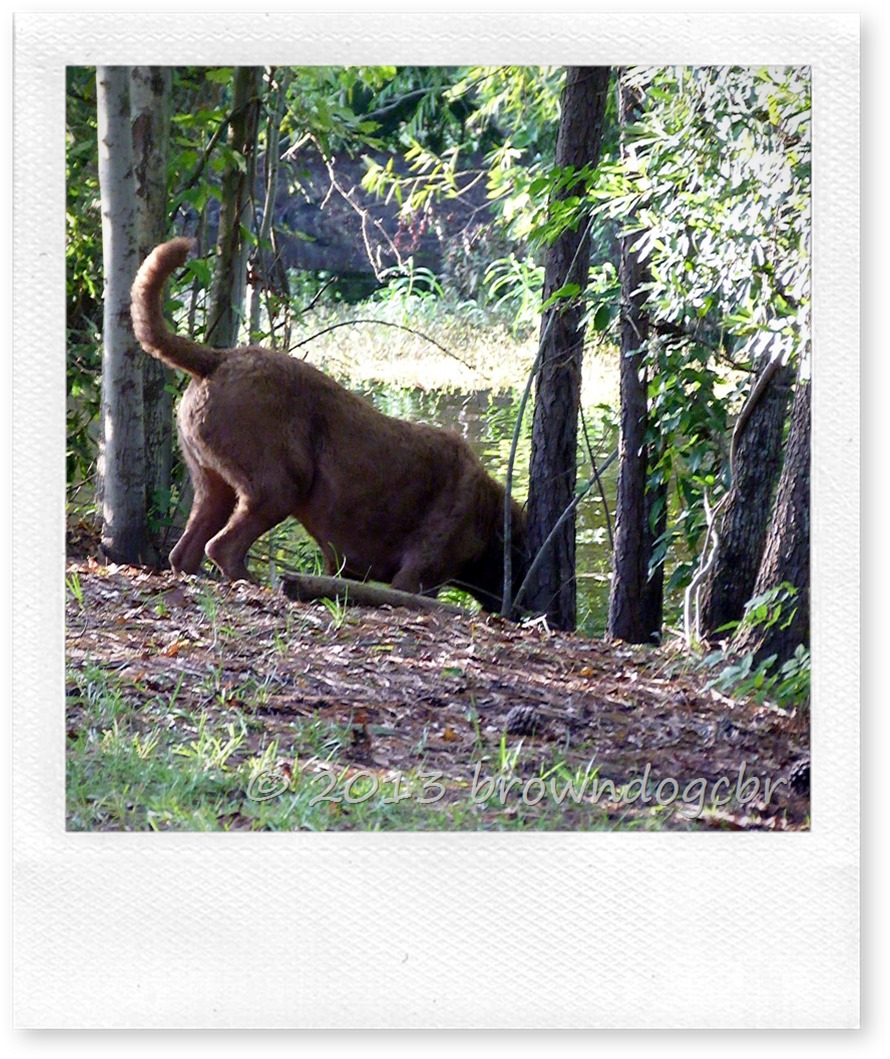 P1250551