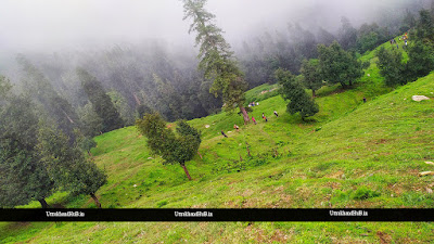 Uttarakhand jungal photo