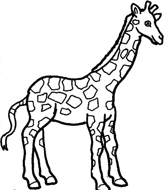 Baby Giraffe Coloring Pages