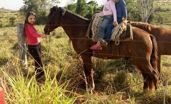 Criança de 11 anos morre atingida por galho de árvore em Rondônia 