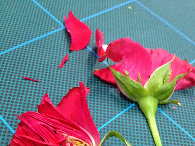 [最も好ましい] 押花刀 183916-押花刀