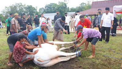 Gelar Salat Idul Adha, Irjen Mulyatno Ingatkan Nilai-nilai Pengorbanan dan Keikhlasan