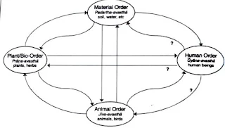 Material Order, Plant/Bio- Order, Animal Order and Human Order