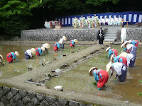 初めてお稲荷さんの田植祭に行った