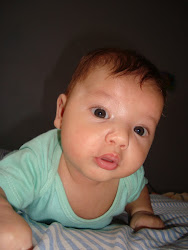 3 meses