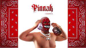 Pinnak Lyrics In English - Sambata