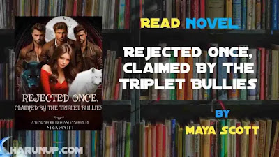 Rejected Once, Claimed By The Triplet Bullies Novel
