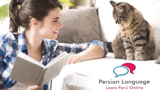 Persian (Farsi) Language: Speak, Read, and Write in 3 Hours!