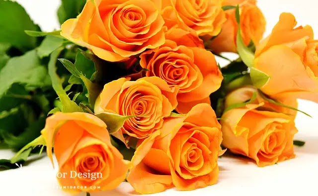 اجمل باقة ورد رومانسية Romantic flower bouquet