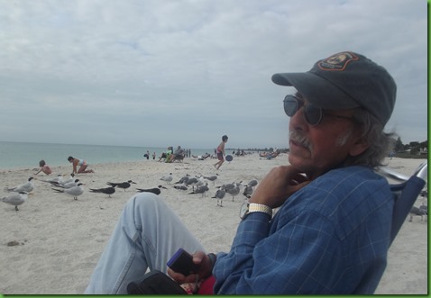 Nokomis Beach (11)