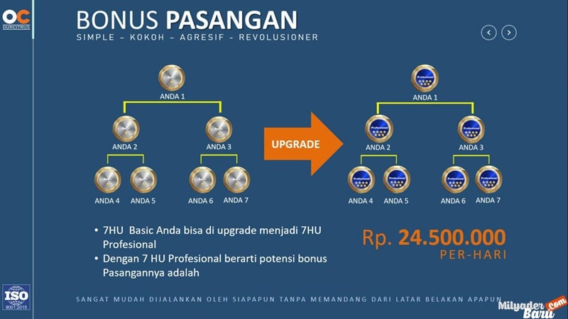 marketing plan ourcitrus