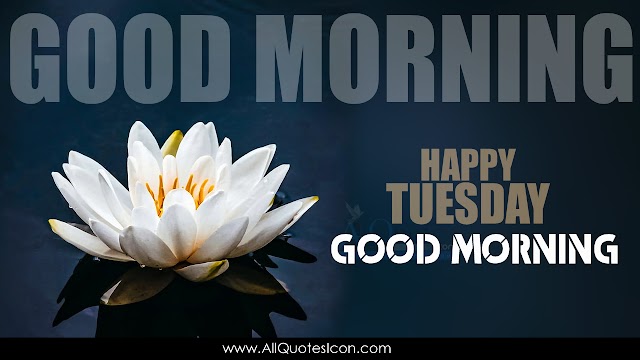 Happy Tuesday Images English Good Morning Greetings HD Wallpapers Best Subhodayam Subhakamkshalu English Quotes Pictures