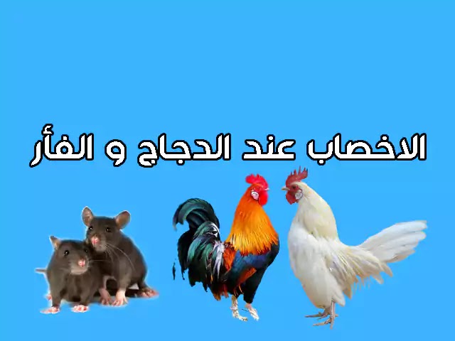 الإخصاب عند الحيوانات الثانية إعدادي