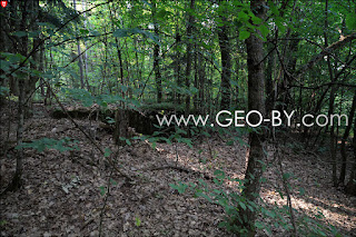 Polish nineteenth bunker in Cyganie