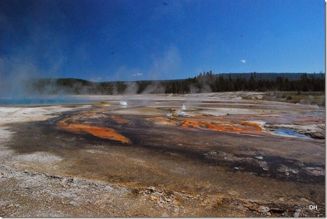 08-11-14 A Yellowstone National Park (295)