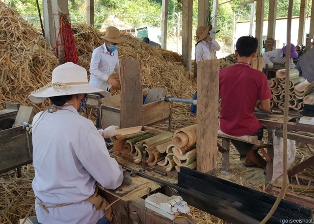 Stopover at bamboo factory during road trip from Mai Chau to Pu Luong