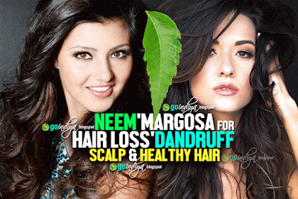 Neem (Margosa) for Hair Loss, Dandruff, Scalp, Baldness & healthy hair 