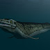 Science || SCIENCE: New prehistoric sea lizard discovered (see photo) 