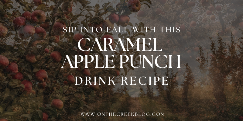 Hawaiian Punch Recipe (Just 2 Ingredients) - DIY Thrill