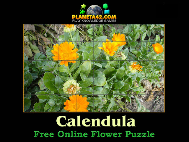 Calendula Puzzle