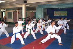 karate gi