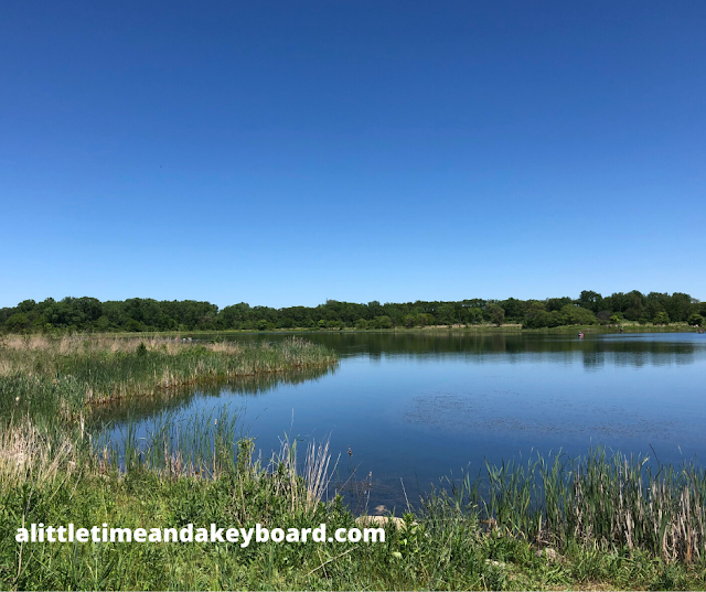 Wetlands invite the chance to observe more wildlife at Mallard Lake