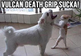 30 Funny animal captions - part 25 (30 pics), funny captioned pictures, animal pics with captions
