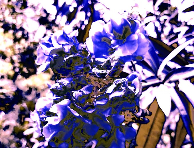 What is that ? | Tell me in comment section |