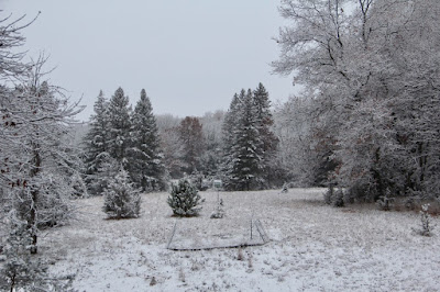 this morning’s view from the deck