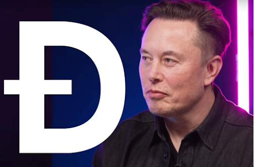 does elon musk do crypto,does elon musk believe in cryptocurrency,did elon musk create a cryptocurrency,did elon musk kill crypto,anti elon musk crypto coin