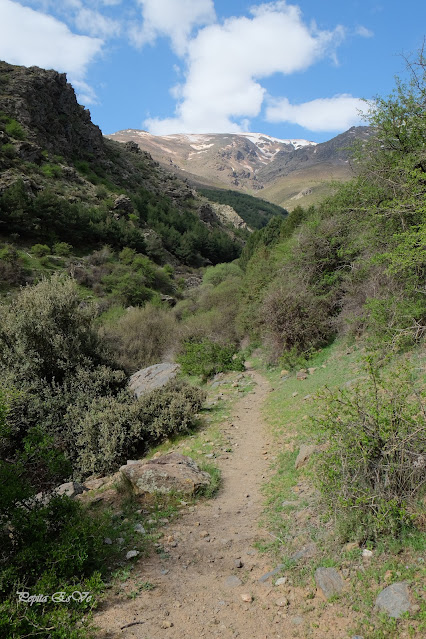 Jérez del Marquesado, Barranco el Alhorí, Vereda