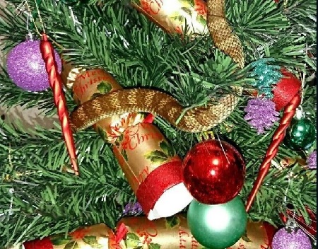 snake on christmas tree