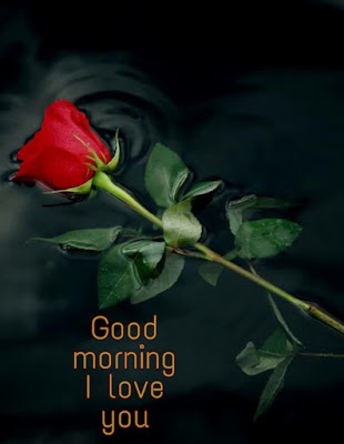 good morning image with love couple hd