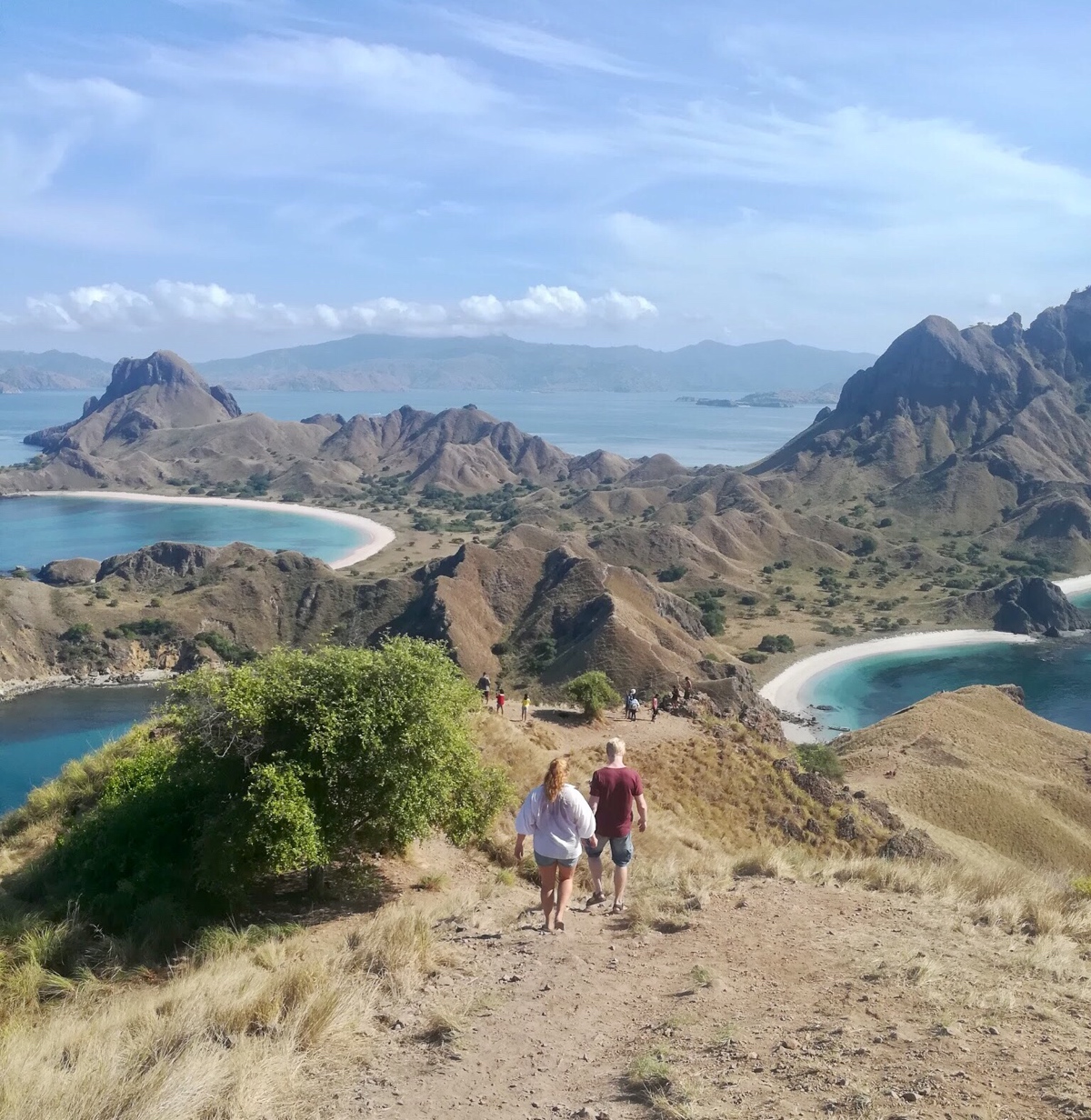 Komodo