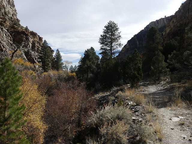 151: trail high on the edge of the creek