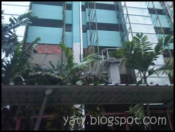 IMG01003-20101113-1226