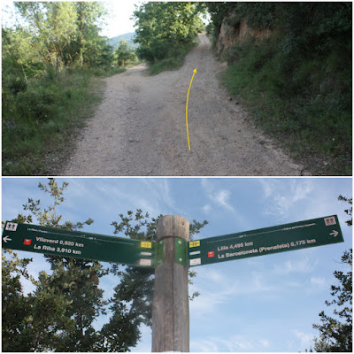 GR-7 LA RIBA A CABRA DEL CAMP, camí en direcció a Lilla