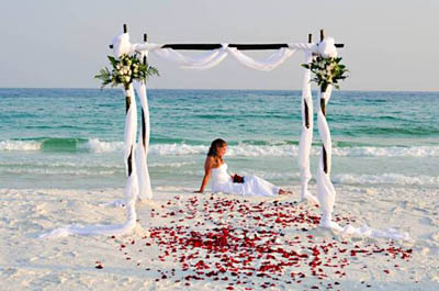 Beach Wedding