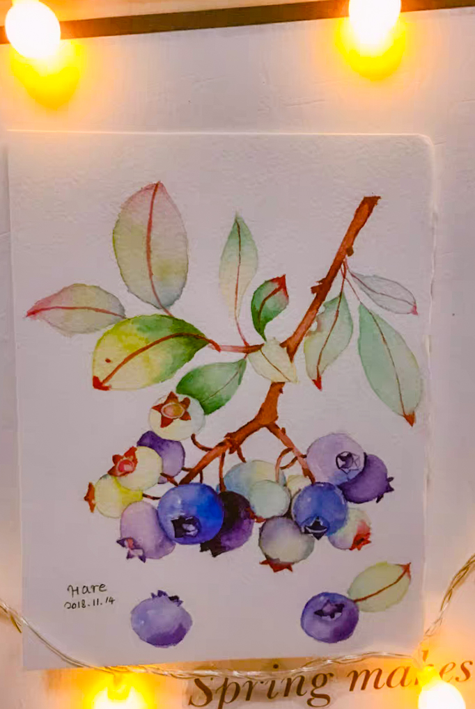 28Watercolor ideas of landscape and plants, come to see my collection