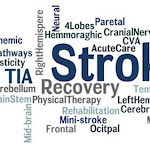 Tentang Penyakit Stroke Ringan