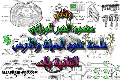 تحميل وثائق: مفهوم الخبر الوراثي للسنة الثانية باك ,درس , ملخص , تمارين , امتحان وطني , امتحانات وطنية علوم الحياة والارض , علوم الحياة والارض , فروض علوم الحياة والارض , الثانية باك , بكالوريا, تعلم اللغات , المدارس العليا , دروس اونلاين