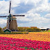 A Local Expert's Guide to Seeing the Most Beautiful Tulips in the Netherlands