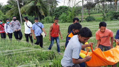 Lansia Asal Sukamulia Ditemukan Tewas di Tengah Sawah