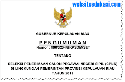 Pengumuman Pendaftaran CPNS 2018 Provinsi Kepulauan Riau