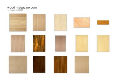 wood magazine download