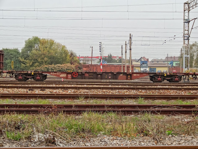 Czteroosiowy wagon platforma do przewozu kontenerów serii Sgnss