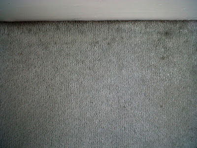 black marks on carpet