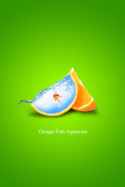 Orange Fish Aquarium | Photoshop Manipulation