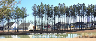 Picture of homes at four seasons in Cane Bay